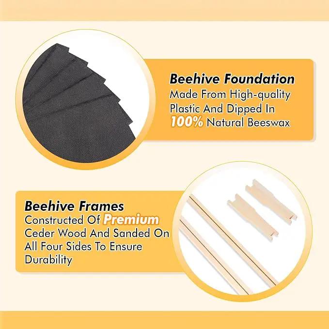 POLLIBEE 10 Frame Langstroth Beehive, Beeswax Coated Bee Hives for Bee Keeper,Beehive Include 2 Deep Bee Boxes and 1 Medium Bee Hive Box with Frame and Foundation(Unassembled) by GreenHaven Gardens