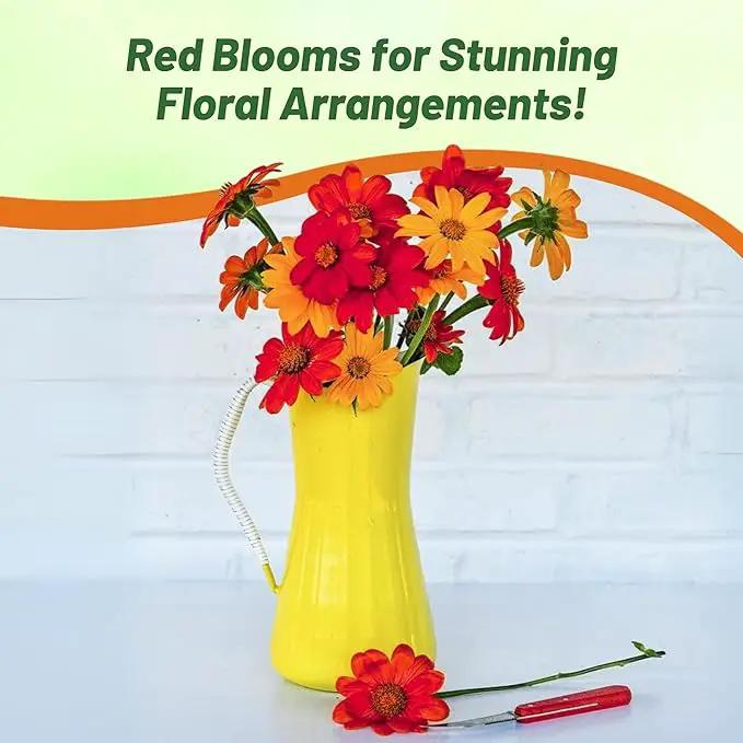 Outsidepride Red Torch Mexican Sunflower Seeds - 1000 Seeds Annual Tithonia, Fast-Growing, Heat & Drought-Tolerant Flower Seeds for Pollinator Gardens, Landscapes, & Flower Arrangements (AAS Winner) by GreenHaven Gardens