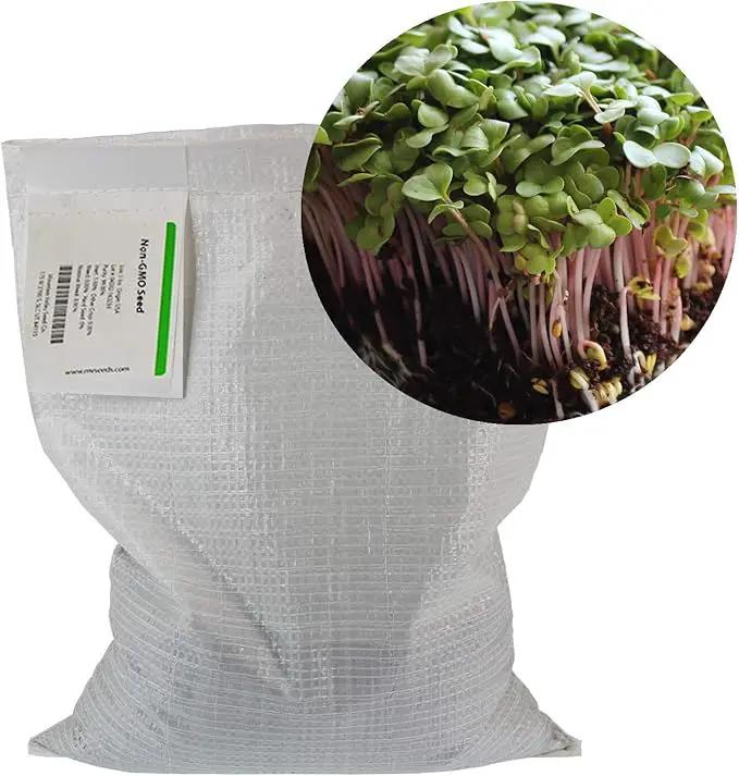 Radish Sprouting Seed - Red Arrow Variety - 5 Lb Bulk Seed - Heirloom Radish Sprouts - Non-GMO Sprouting and Micro Radishes by GreenHaven Gardens