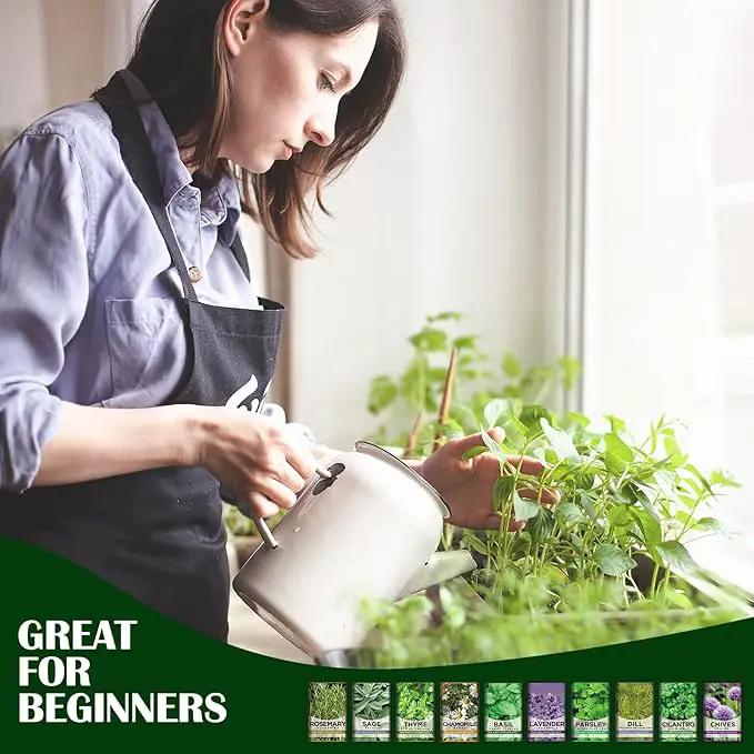 10 Kit Non-GMO Growing into Thyme, Lavender, Chamomile, Dill, Chives, Cilantro, Rosemary, Basil, Parsley, Sage Indoor/Outdoor for Kitchen Windowsill Gardening Gift by GreenHaven Gardens