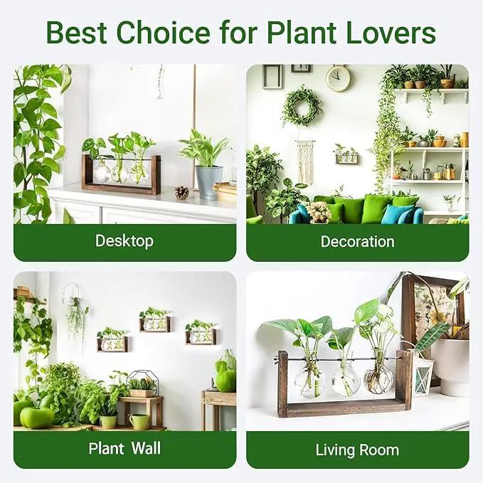 Ivolador Wall Hanging Plant Propagation Station,Bulb Plant Terrarium with Wooden Stand,Unique Gardening Gifts for Women Plant Lovers,Hydroponic Indoor Planter Home Office Decor-3 Bulb Glass Vases by GreenHaven Gardens