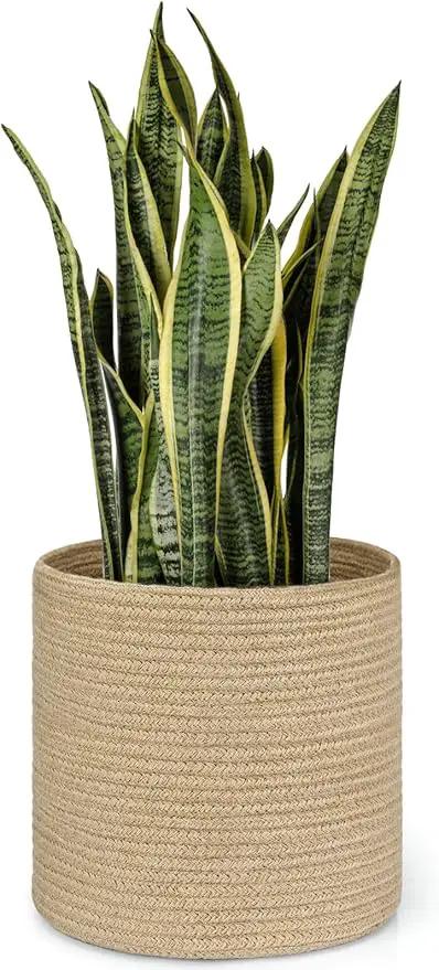Dahey Jute Rope Plant Basket Modern Woven Storage Basket for 10" Indoor Planter, Decorative Flower Pots Cover Laundry Bin with Handle Rustic Home Decor, Beige by GreenHaven Gardens