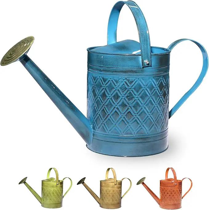 Robert Allen Home & Garden MPT01503 Robert Allen MPT011503 Wexley Metal, 2 Gallon, Mountain Waves 5 Gallon Watering can, 2 gal by GreenHaven Gardens