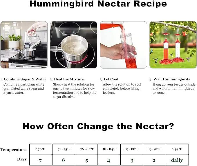 Hummingbird Feeders for Outdoors Hanging - 5 Feeding Ports 320 ml Plastic Hummingbird Feeder, Bee-Proof Leak-Proof No Drip, Easy to Clean with Cleaning Brush by GreenHaven Gardens