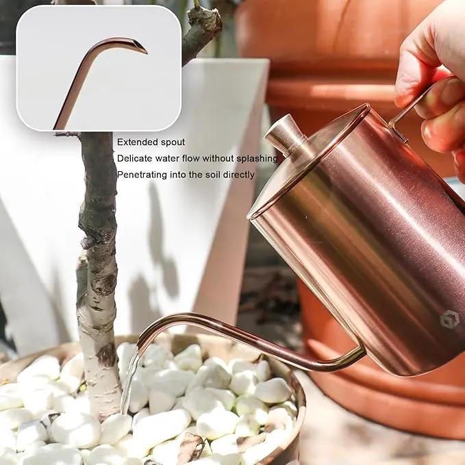 OFFIDIX Watering Can for Indoor Plants Long Spout Metal Stainless Steel 21 oz/600 ml Small Watering Can with 14 oz/400ml Glass Plant Mister Spray Bottle for Plants Bonsai by GreenHaven Gardens