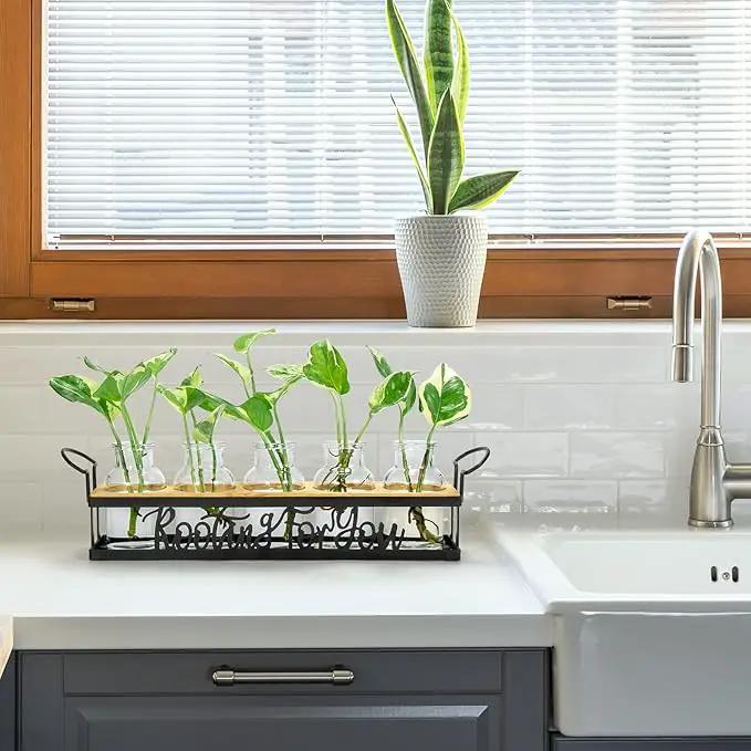 THYGIFTREE Plant Propagation Stations, Mothers Day Plant Lover Gifts for Mom Women Rooting for You Propagate Jars for Hydroponic Cuttings Propagating Vase by GreenHaven Gardens