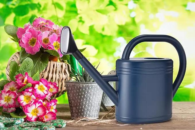 Watering Can 1 Gallon for Indoor Plants, Garden, Outdoor Plant House Flower, Gallon Large Long Spout with Sprinkler Head (Blue) by GreenHaven Gardens