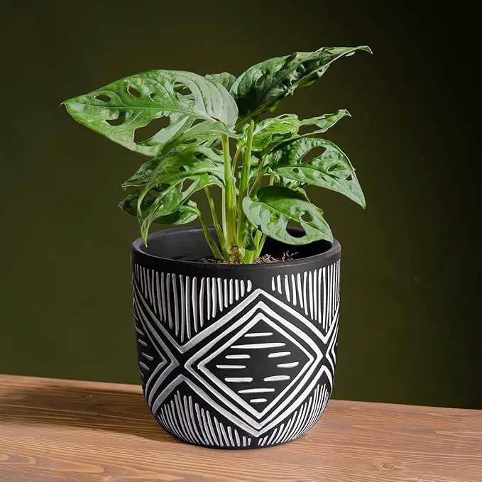6 Inch Boho Planter Pots with Drainage Holes, 2 Pcs Terracotta Pots, Ceramic Plant Pots for Indoor Plants, Ferns, Vines, Succulents, and Outdoor Plants Growing, Gift for Plant Lovers（Black） by GreenHaven Gardens