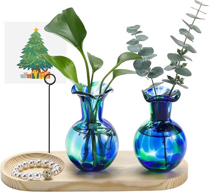 Hand Blown Glass Plant Propagation Stations Plant Terrarium Wooden Stand for Hydroponic Plants Combine Jewelry Tray and Photo Holder Office Home Garden Decor - 2 Bulb Glass Vases by GreenHaven Gardens