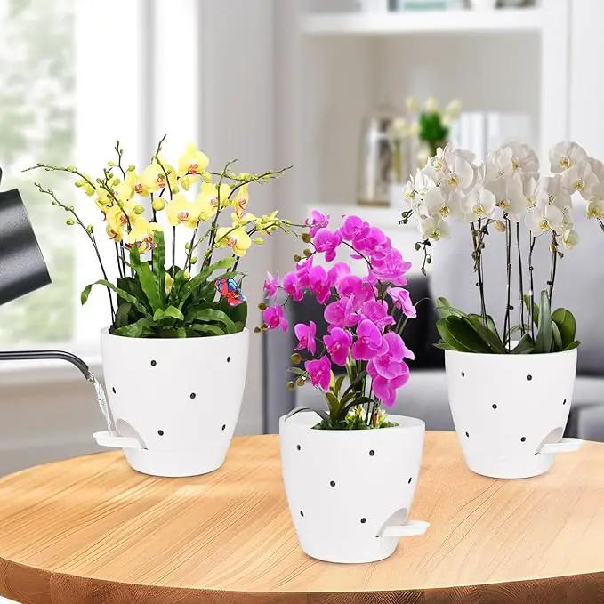 6 Inch Orchid Pots with Holes, 2 Pack Self Watering Planters for Orchids Plastic Orchid Pot Plant Flower Pots for Orchids Indoor Outdoor (White) by GreenHaven Gardens
