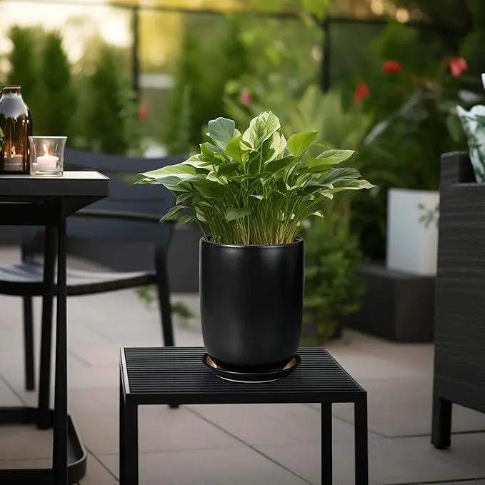 Ceramic Planter 8 Inch - Plant Pot for Indoor Outdoor Plants Cylinder Flower Pot with Drainage Hole and Saucer Black by GreenHaven Gardens