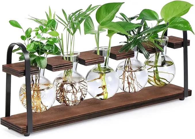 THYGIFTREE Plant Propagation Stations with Wooden Stand, Desktop Retro Plant Terrarium Bulb Vase for Indoor Hydroponic Flowers, Tabletop Glass Planter Housewarming Gifts for Plant Lovers by GreenHaven Gardens