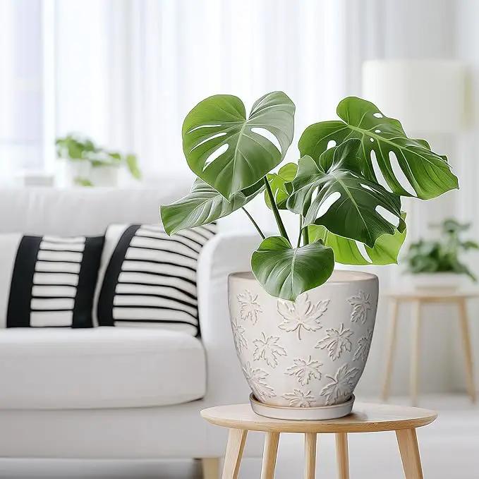 Ceramic Pots for Plants - 8 Inch Plant Pot with Drainage Hole and Saucer Large Planter Pot for Indoor Plants Outdoor Modern Flower Pot Home Decor White by GreenHaven Gardens