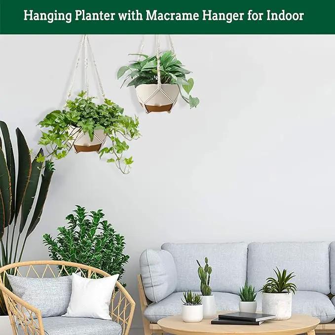 Hanging Planter Self Watering 10 Inch, 2 Pack Indoor Outdoor Hanging Baskets, Hanging Flower Pots with Drainage Hole & 2 Kinds of Plant Hangers for Garden Home Decor(Cream)… by GreenHaven Gardens