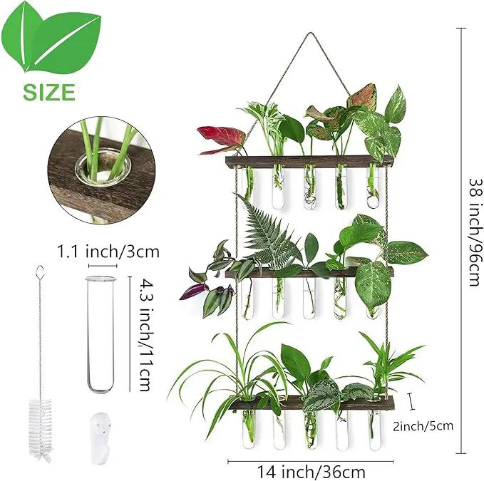 Ivolador Hanging Plant Propagation Tubes,3 Tiered Wall Hanging Terrarium Flower Planter Vase for Hydroponic Plants Cutting Home Office Garden Decor Plant Lover Gift by GreenHaven Gardens