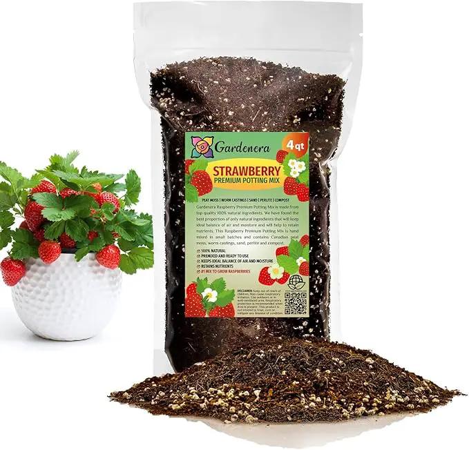 Strawberry Premium Potting Soil Mix - Ideal Blend for Growing Robust and Flavorful Strawberries - 4 Quart by GreenHaven Gardens