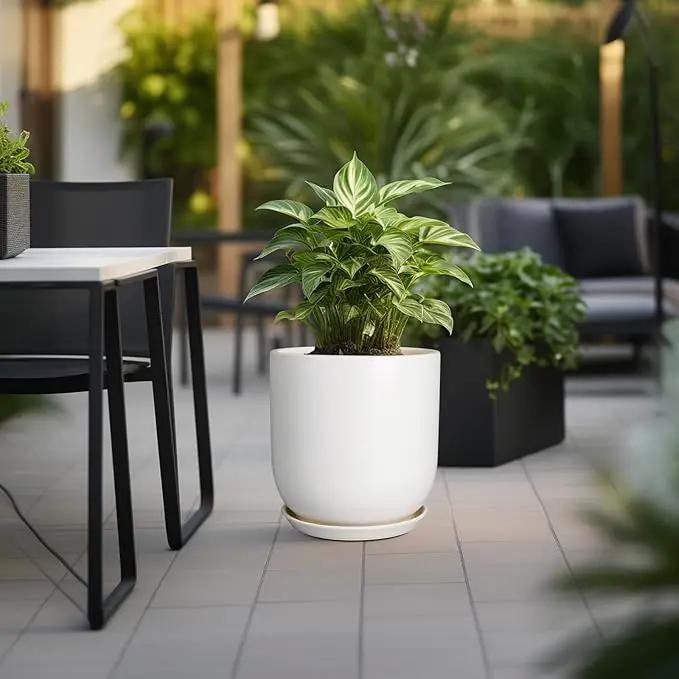 Plant Pot 12 inch - Ceramic Pot for Plants Indoor Outdoor Large Planter Pot with Drainage Hole and Saucer Mid-Century Modern Flower Pot Cylinder White by GreenHaven Gardens