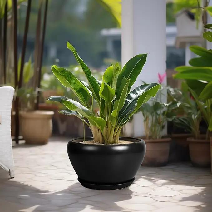Ceramic Pot for Plants Large - 13 Inch Plant Pot Indoor with Drainage Hole and Saucer Round Planter Decorative Planter Outdoor Flower Pot for House Decor Balcony Black by GreenHaven Gardens