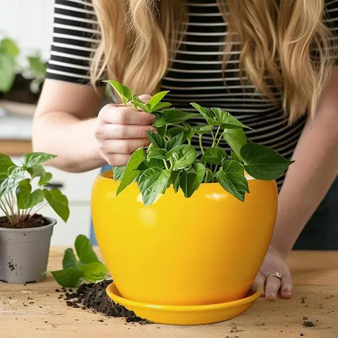 8 Inch Plant Pot - Glaze Modern Round Ceramic Planter for Indoor Outdoor Plants with Drainage Hole and Saucer for Home Patio Room Office Decor, Yellow by GreenHaven Gardens