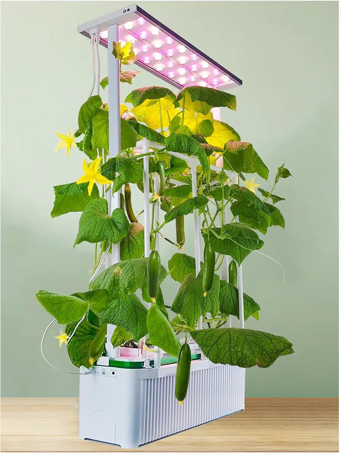 Large Hydroponics Growing System kit with Trellis,Smart Indoor Hydroponic Gardening System with LED Grow Light, Indoor Hydroponic Grow Kit for Tomato,Pepper,Cucumbers(7L,Pump) by GreenHaven Gardens