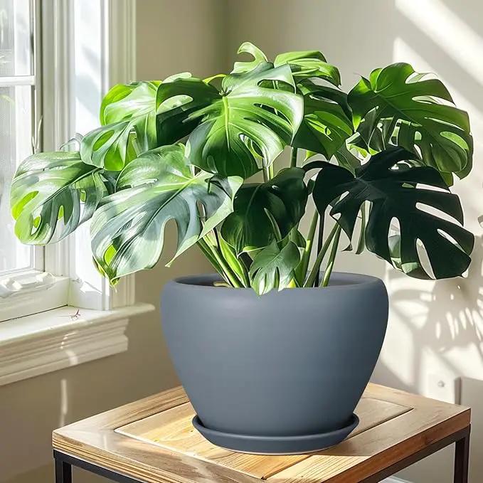 10 Inch Plant Pot - Ceramic Planter for Indoor Plants Large Plant Pot with Drainage Hole and Saucer Round Outdoor Planter Modern Flower Pot for Home Decor Gray by GreenHaven Gardens