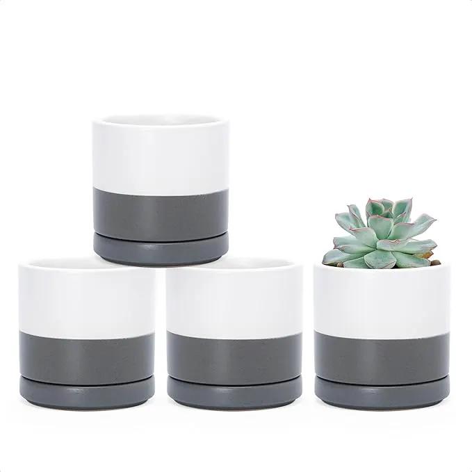 D'vine Dev Set of 4 Small Ceramic Plant Pots, 3.5 Inch Succulent Planter Pot for Plants with Drainage Hole and Saucer, White/Speckled Grey, 94-X-A-6 by GreenHaven Gardens