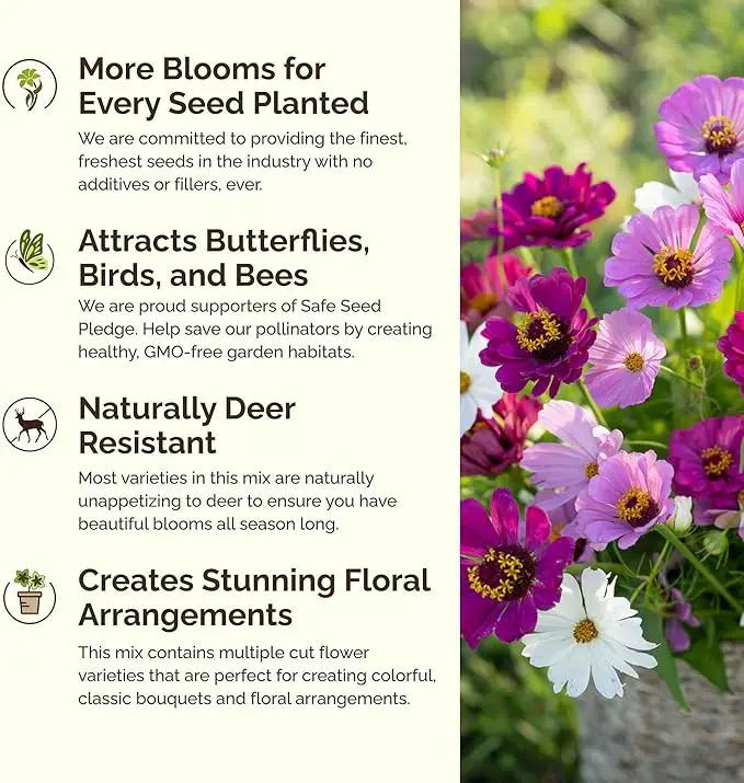 Eden Brothers Purple Rain Flower Mixed Seeds for Planting, 1/4 lb, 120,000+ Seeds with Zinnia Purple Prince & Violet Queen, Cosmos, Attracts Pollinators, Plant in Spring, Zones 3, 4, 5, 6, 7, 8, 9, 10 by GreenHaven Gardens