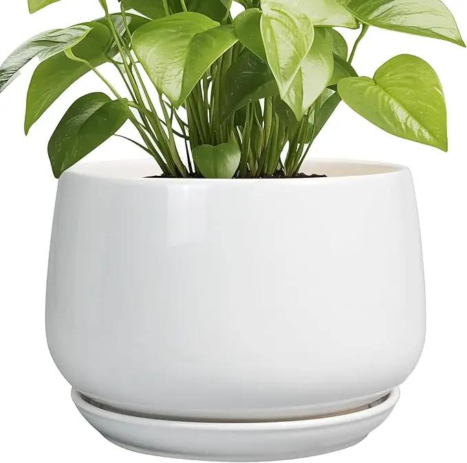 G EPGardening Ceramic Planter 9 Inch - Plant Pots with Drainage and Ceramic Saucer, Flower Pots for Indoor Plants, Modern Outdoor Planter, Living Room Decor, Gifts for Plant Lovers, White by GreenHaven Gardens