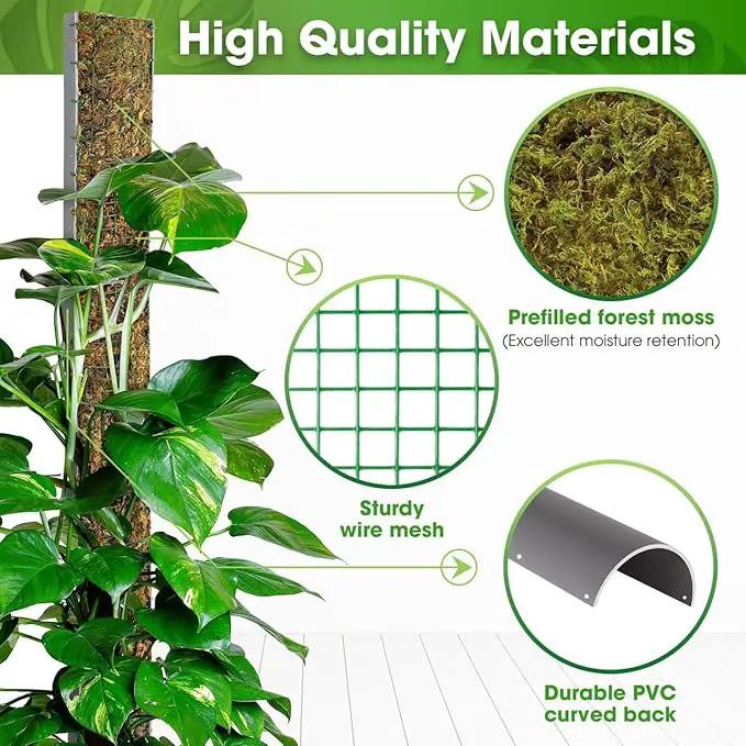 DUSPRO 59’’ D-Shape Moss Pole for Climbing Plants Monstera Moss Plant Pole Handmade Moss Stick for Indoor Plants Grow Upward (59'', 1pc.) by GreenHaven Gardens