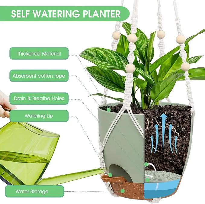 Hanging Planters for Indoor Outdoor Plants, 2 Pack Self Watering Hanging Pot with Drainage Holes, Removable Tray & 2 Kinds of Plant Hangers, 8'' Hanging Flower Pots for Home Garden Decor, Green by GreenHaven Gardens