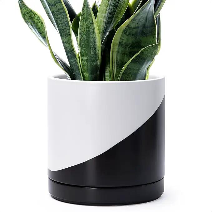 D'vine Dev 10 Inch Ceramic Planter Pot with Drainage Hole and Saucer, Indoor Cylinder Round Planter Pot, Oblique Monochrome Black and White, 94-O-E-K by GreenHaven Gardens