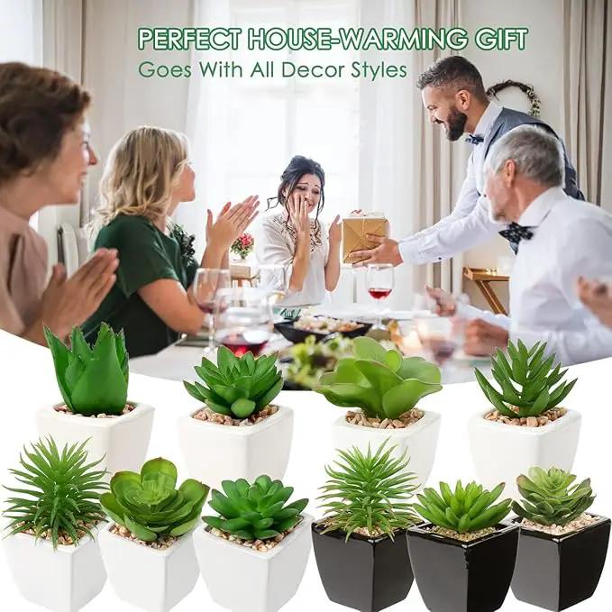 Hollyone Succulents Plants Artificial 4Pcs Small Fake Succulents in Pots Faux Plastic Potted Plants with White Ceramic Pot for Home Decor Office Desk Bathroom Shelf Indoor & Outdoor Decoration by GreenHaven Gardens