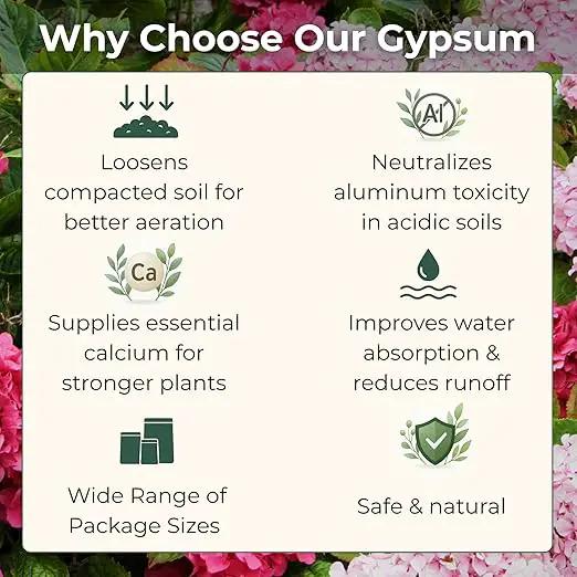 Gypsum for Soil - Calcium for Plants - Gypsum Fertilizer for Gardening, Lawn & Vegetables - Calcium for Garden (5 qts. - 10 lbs.) by GreenHaven Gardens