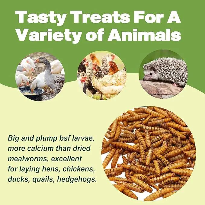 20LB Dried Black Soldier Fly Larvae, 86X Calcium Than Dried Mealworms, High Protein Non-GMO Organic Chicken Feed by GreenHaven Gardens