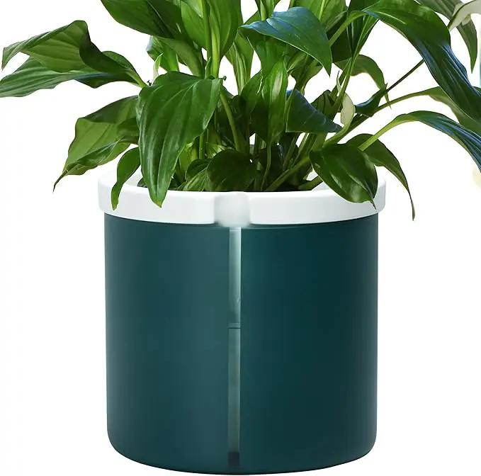 D'vine Dev 10 Inch Design Self Watering Planter for Indoor Plants, White Terracotta Pot with Teal Cylinder Glass Cup, 37-X-D-5 by GreenHaven Gardens