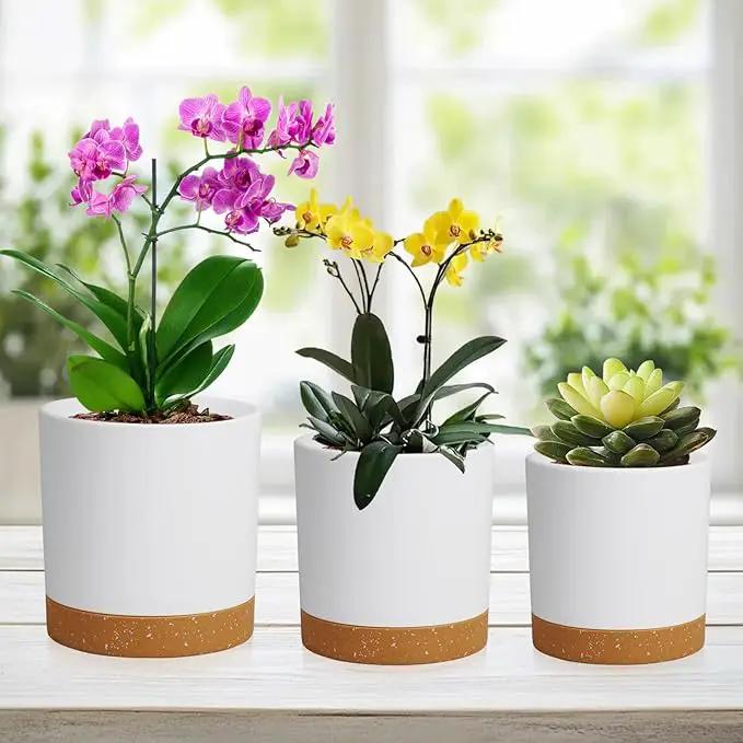 3 Pack 6/5/4 inch Cylindrical Flower Pots, Modern Small Round Plastic Plant Pots with Drainage Holes & Saucers, Clean and Refined Planter Pots for Outdoor, Indoor & Office Decor (White Brown) by GreenHaven Gardens