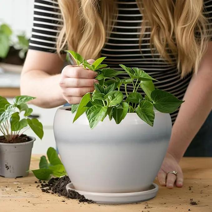 Ceramic Planter - 8 Inch Plant Pot with Drainage Hole and Saucer, Glaze Round Flower Pot for Home Garden Patio Office, White by GreenHaven Gardens
