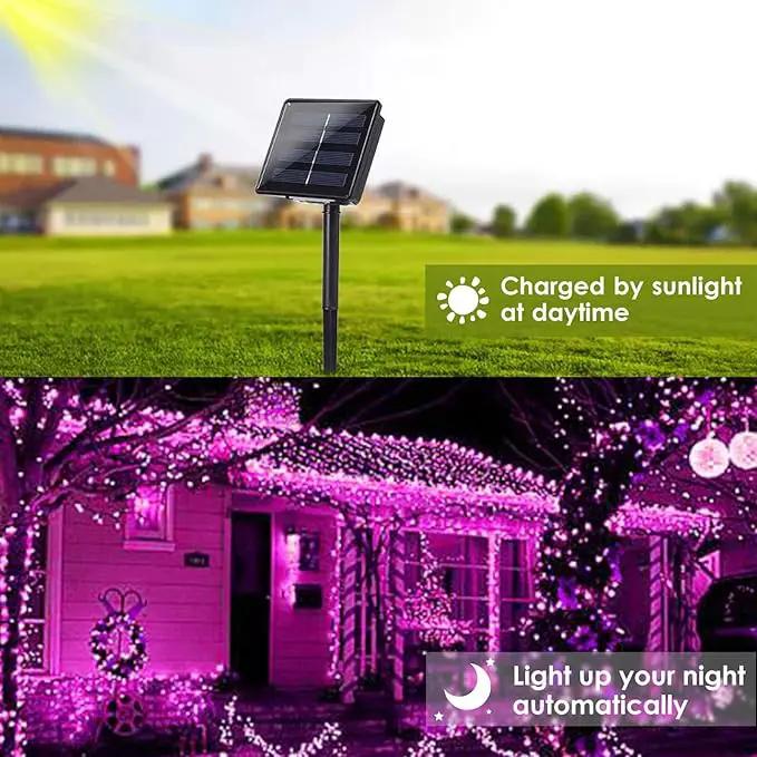 Solar String Lights Outdoor, 2-Pack Total 80FT 200 LED Solar Christmas Twinkle Lights Outside Waterproof Copper Wire 8 Modes Solar Fairy Lights for Garden Tree Party Birthday Christmas Decor (Pink) by GreenHaven Gardens