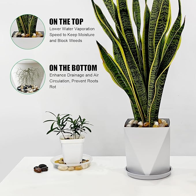 Rocks for Plants 5 Lbs, 0.8-1.5 Inch High Polished Pebbels, Decorative Stones for Garden Landscaping, Smooth Gravel Filler for Outdoor Plants, Succulents, Fish Tank and Vases by GreenHaven Gardens