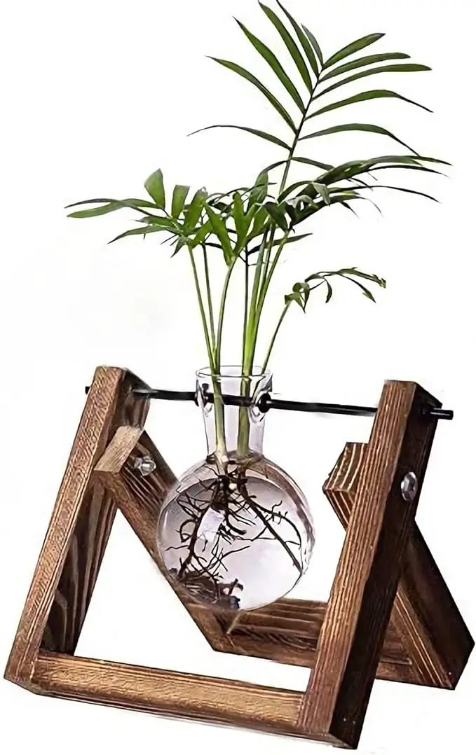 Kingbuy Plant Propagation Station Air Plant Terrarium Bulb Vase with Wooden Swivel Holder Desktop Glass Planter for Indoor Water Plants Home Office Tabletop Decor - 1 Bulb Vase by GreenHaven Gardens