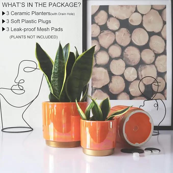 Gepege Ceramic Indoor Pots for Plants, Rainbow Pearl Glaze Planter with Drainage Hole, 6.0 inch+5.0 Inch+4.0 Inch. Orchid Flower Pots by GreenHaven Gardens