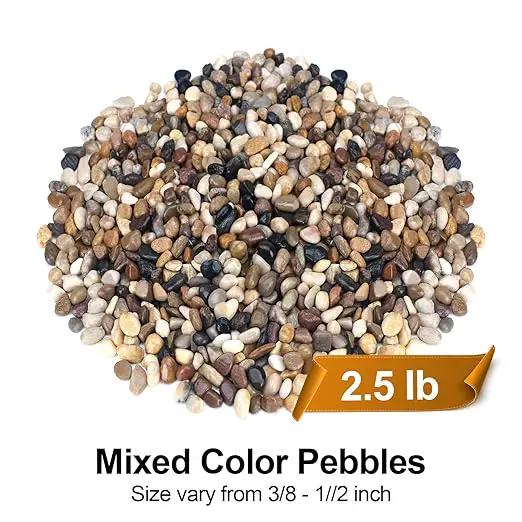 2.5 lbs Pebbles for Indoor Plants, Succulent, Bamboo, Vase, 3/8" Plant Rocks for Pots Indoor, Small River Rocks Decorative Pea Gravel, Highly Polished by GreenHaven Gardens