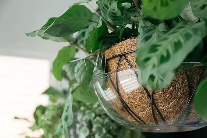 Curtis Wagner Plastics Wire Coco Hanging Basket Drip Pans (5-Pack) | Clear, Round (12” - 14" Top, 3.75" Depth) Hanging Plant Tray Saucer with Built-in Hooks & Water Catcher for Indoor & Outdoor by GreenHaven Gardens