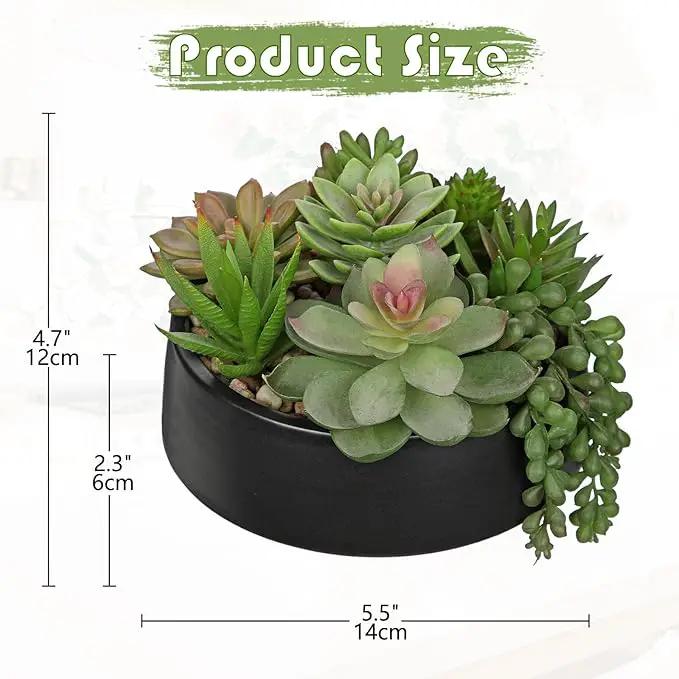 DILATATA Artificial Succulent Plants in Pot 5.5 Inch Fake Succulents Arrangement Potted Plant in Black Ceramic Planter Bowl for Home Office Desk Shelf Living Room Bedroom Bathroom Decor by GreenHaven Gardens