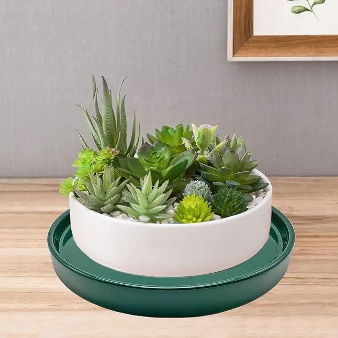2 Pack Ceramic Plant Saucer Pot Tray 8 Inch, Planter Saucers 4 5 6 7 8 9 10 11 12 Inch for Indoors Outdoor, Durable Sturdy Flower Drainage Tray for Glazed Pots Base (8.5 Inch Green) by GreenHaven Gardens