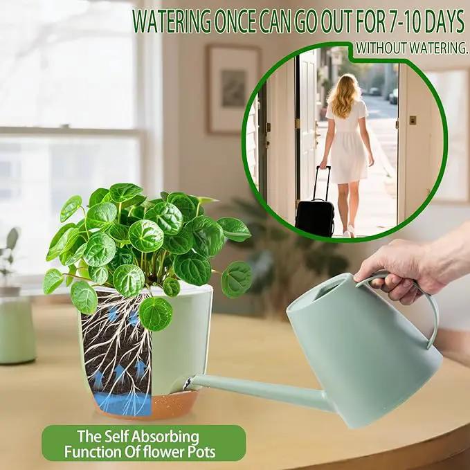 7.2 Inch Self Watering Orchid Pots for Indoor Plants,Macetas para Orqudeas,Flower Pots for Indoor Plants with Holes(Green) by GreenHaven Gardens