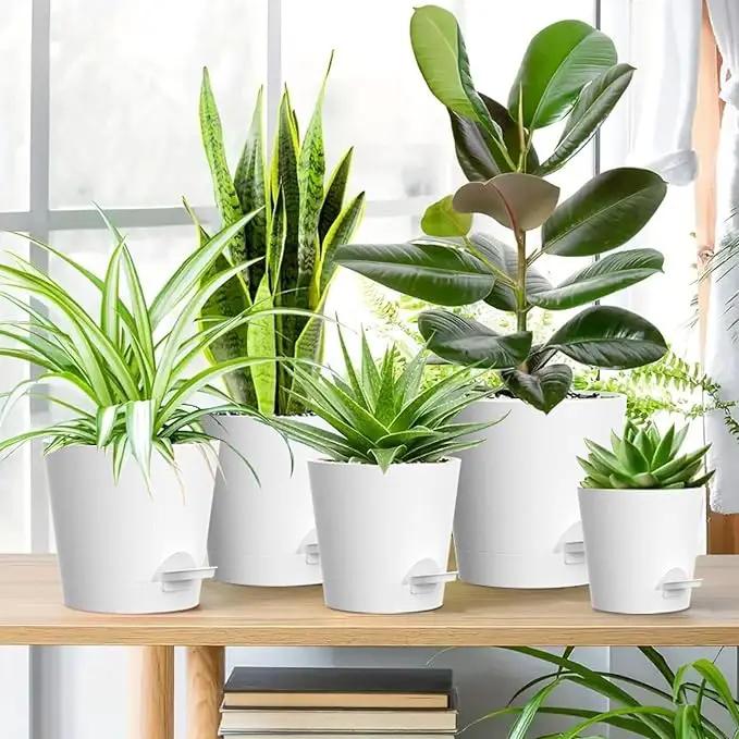 7/6.5/6/5.5/5/4 inch Self Watering Pots for Indoor Outdoor Plants, 6 Pack Plastic Flower Planters with Drainage Holes and Removable Saucers, Plant Pots with Wicking Rope, Modern Decor, White by GreenHaven Gardens