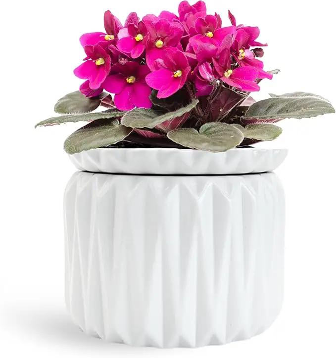 6 inch Self Watering Pot for Indoor Plants, African Violet Pot Ceramic, Flowers Planter (4 inch Opening), Holds 3 Weeks of Water (1 Pack) by GreenHaven Gardens