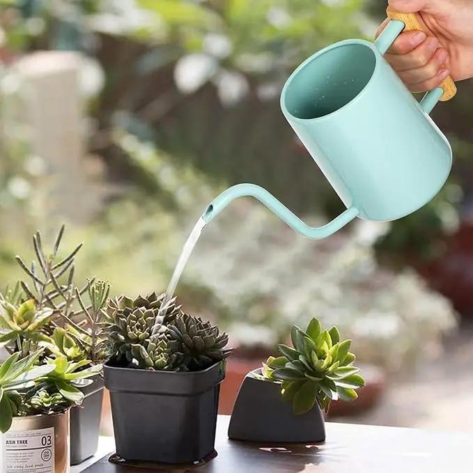 Watering Can Indoor Plants, 35 oz/1000 ml Metal Stainless Steel Watering Can Pot with Long Spout for Indoor House Plants Bonsai Outdoor Garden Flower Decorative (Green by GreenHaven Gardens