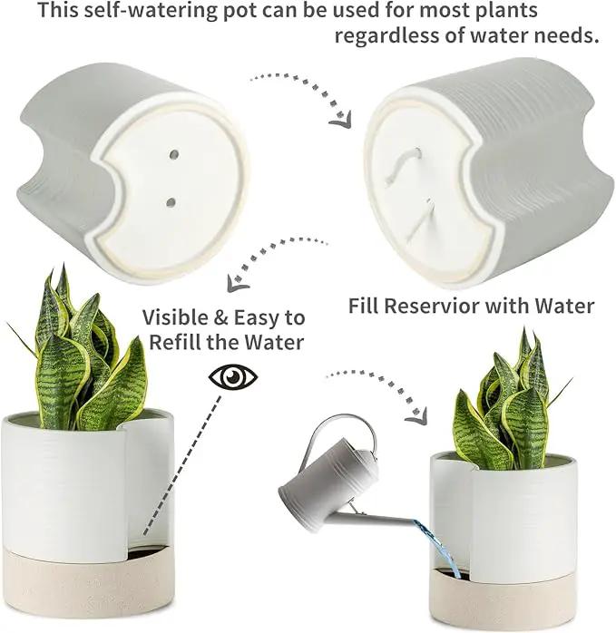 Nihow Self Watering Plant Pot: 8 Inch Ceramic Planter with Drainage Hole & Water Storage Plus for Indoor & Outdoor Plants - Cylinder Round Flower Pot for Succulent/Herbs/Violets - White & Brown by GreenHaven Gardens
